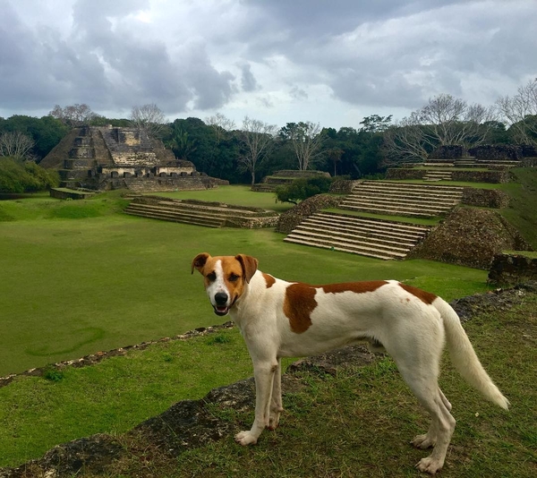 Best Belize Travel Photos of February 2016