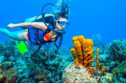 Top 7 Water Adventure Activities To Do In Belize