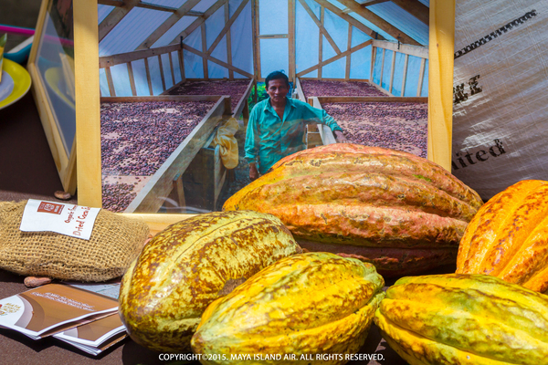 Chocolate Festival of Belize